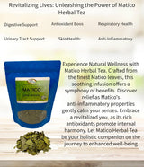 CIK Naturals Matico Herb - Herbal Infusions Tea (100g) 3.52oz Zip-lock Bag Piper aduncum