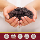 Traina Home Grown California Sun Dried Bing Cherries - Healthy & Non-GMO, Natural Sweet Flavor Fruit No Sugar Added, Perfect Snack In Resealable Pouch