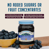 Nature's Hollow Blueberry Jam: Sugar Free Jam and Preserves, Low Cal, Non GMO, Keto Jam, Vegan, Gluten Free, and Diabetic Friendly - Sugar Free Jelly