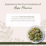Starwest Botanicals Dried Hops Flowers Whole - Herb for Hot Water & Tea, Use in Herbal Blends, Natural Pine & Citrus Notes, Certified Kosher - 4 oz