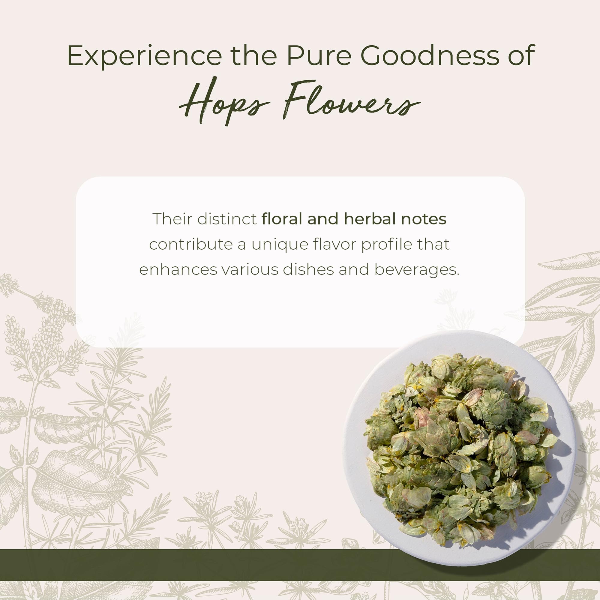 Starwest Botanicals Dried Hops Flowers Whole - Herb for Hot Water & Tea, Use in Herbal Blends, Natural Pine & Citrus Notes, Certified Kosher - 4 oz
