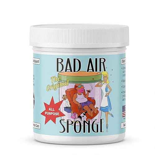 Bad Air Sponge Odor Absorber & Neutralizer, 14 oz - Odor Eliminator for Home, Pets, Smoke, Cooking, Trash, Mold & Musty Smells - Original Non-Toxic