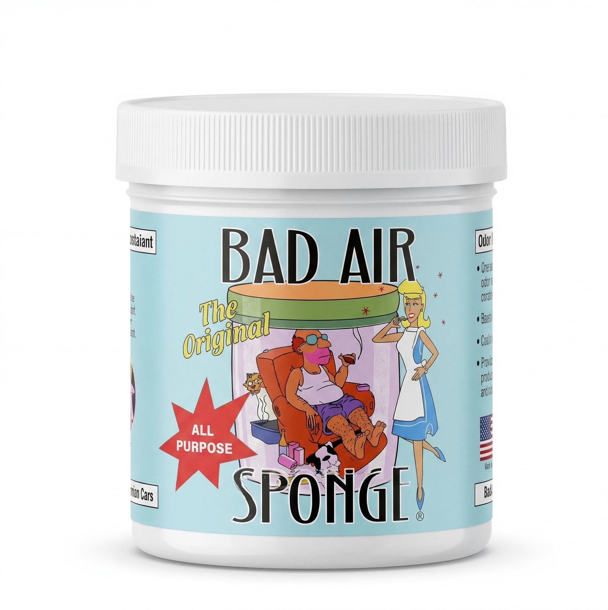 Bad Air Sponge Odor Absorber & Neutralizer, 14 oz - Odor Eliminator for Home, Pets, Smoke, Cooking, Trash, Mold & Musty Smells - Original Non-Toxic
