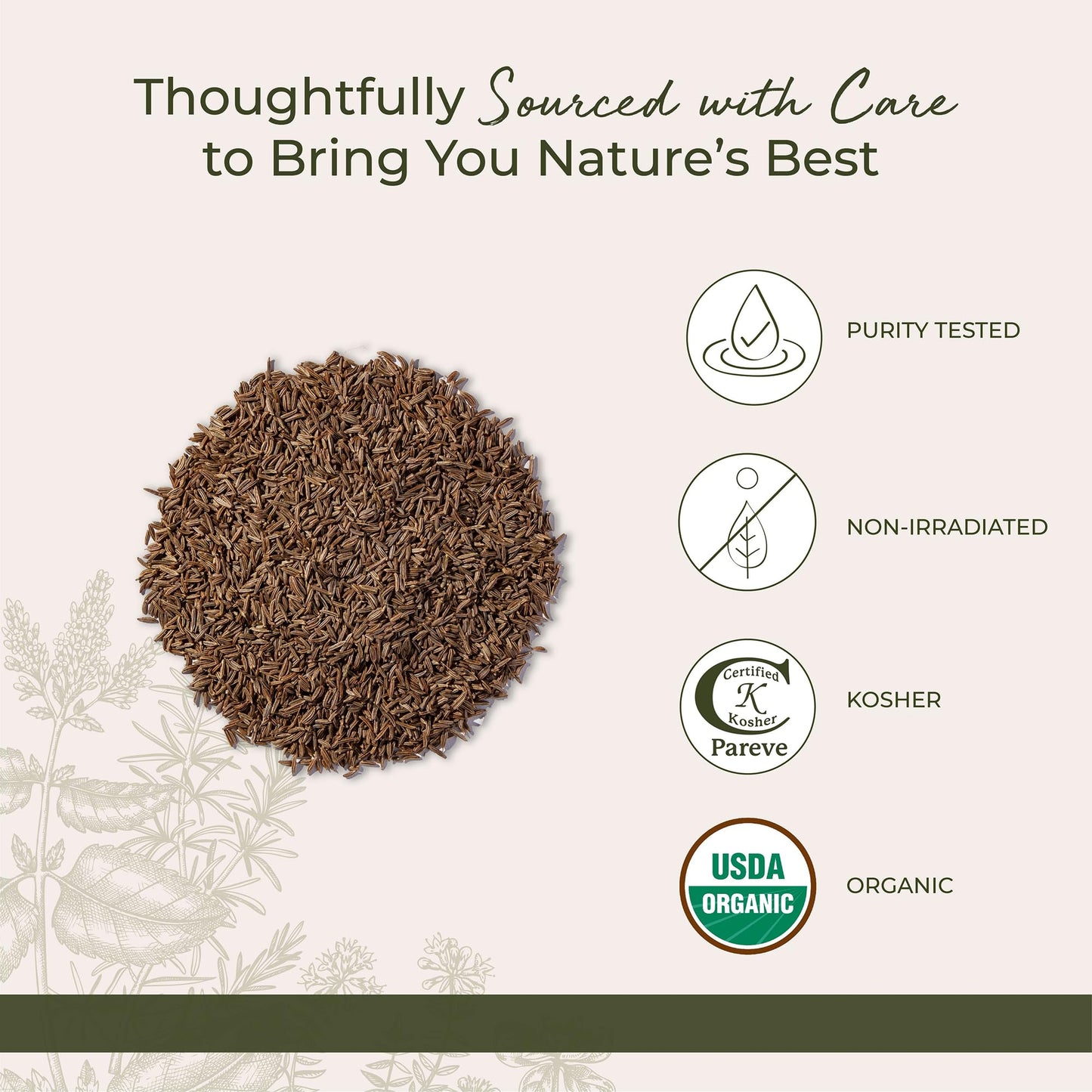 Starwest Botanicals Caraway Seed Organic - Seasoning Spice for Rye Bread, Sauerkraut, Harissa, Pickling, Baking & Cooking, Whole Caraway Seeds