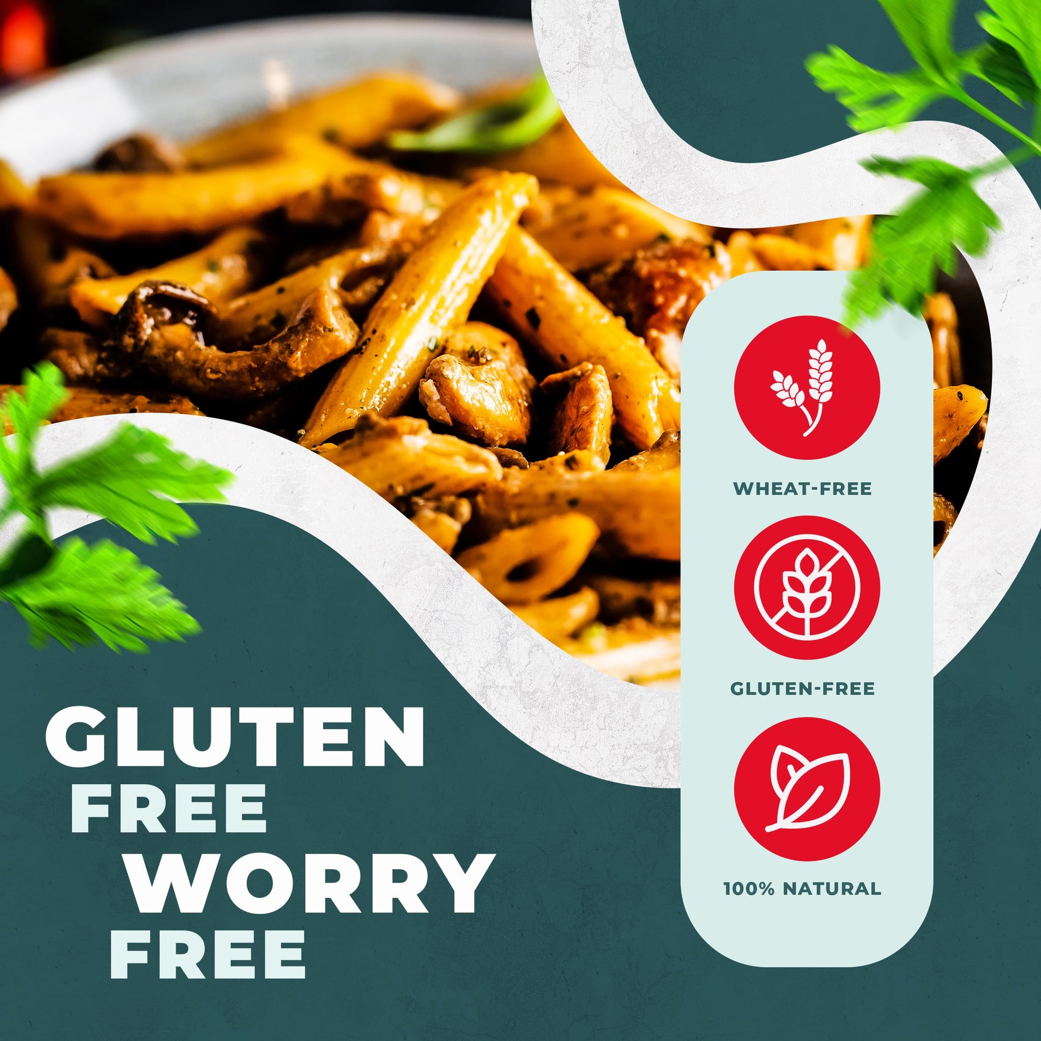 FIFY'S GLUTEN-FREE Teff Penne Pasta - All Natural, Nutrient-Rich Gluten Free Pasta with Ancient Grain Teff and Rice Flour - Made in Italy