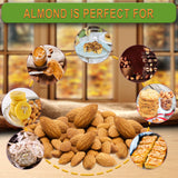Raw Italian Almonds Divine Organics 16 oz 453 grams (16 oz)