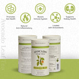 Avocado Leaf/Chamomile Tea - Caffeine-free, Herbal Tea | Immune Support | Cold Brew or Hot Tea | 15 Tea Bags - 30 Servings (Gluten Free & Non-GMO)