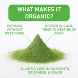 Aiya Certified USDA Organic Culinary Grade Matcha Green Tea Powder - Ideal for Baking, Lattes, Smoothies - Gluten-Free & Non-GMO - 100g Bag (3.52 oz)