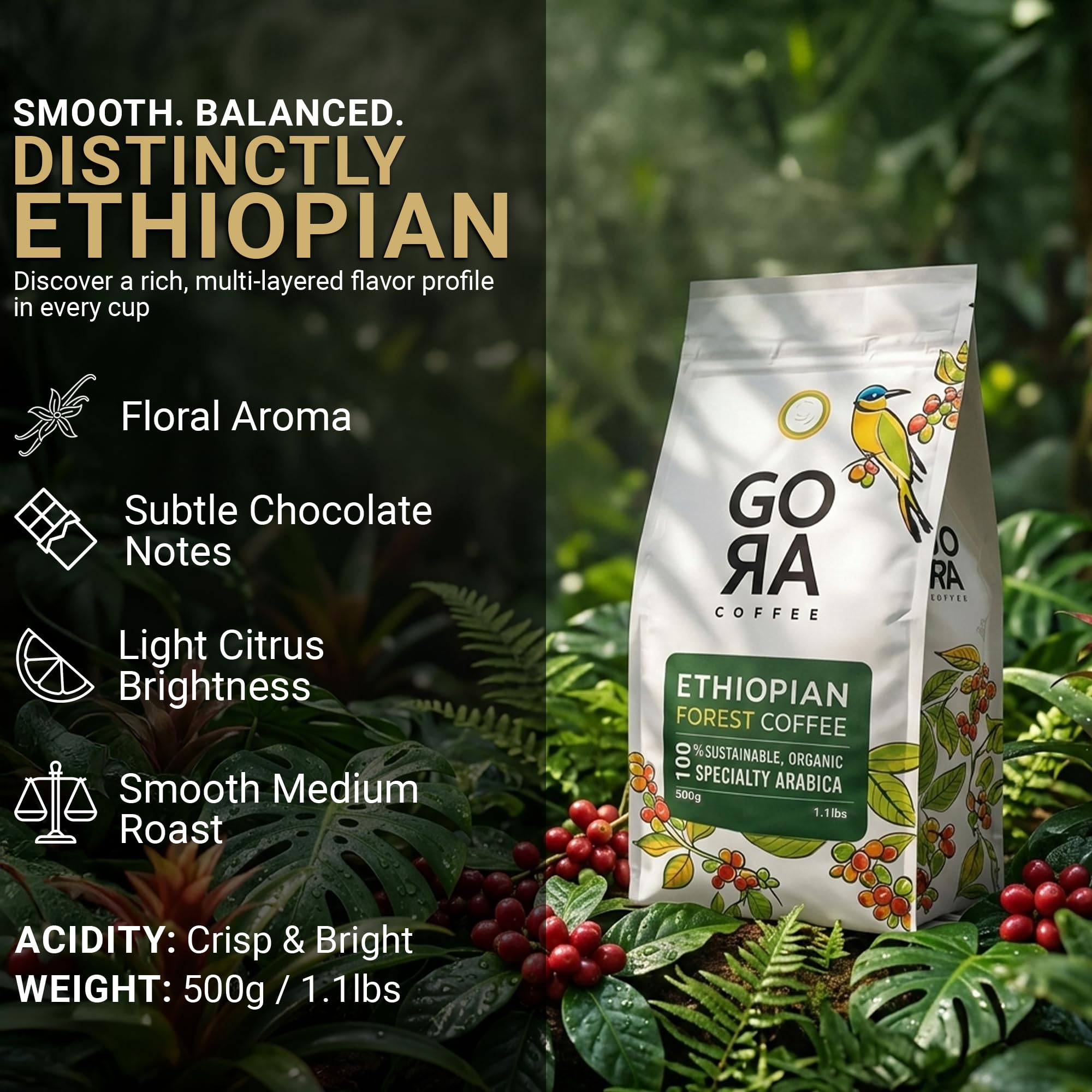 GoRa Ethiopian Coffee Beans 1kg - Medium Roast Whole Bean, Single Origin Arabica, Smooth Fruity & Floral Notes, Sourced & Roasted in Ethiopia - 1kg