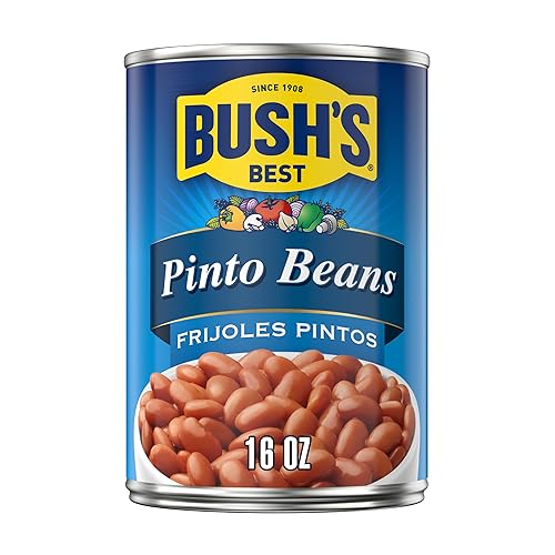 BUSH'S BEST Pinto Beans, 16 Ounce Can, Canned Beans, Pinto Beans Canned, Source of Plant Based Protein and Fiber, Low Fat, Gluten Free, For Soups