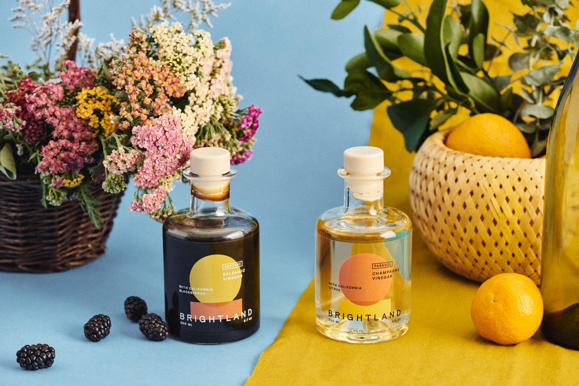 Brightland The Vinegar Duo, Set of Two - Balsamic Vinegar & Champagne Vinegar, Artisinal Vinegars Perfect for Salad Dressings, Marinades, Cooking