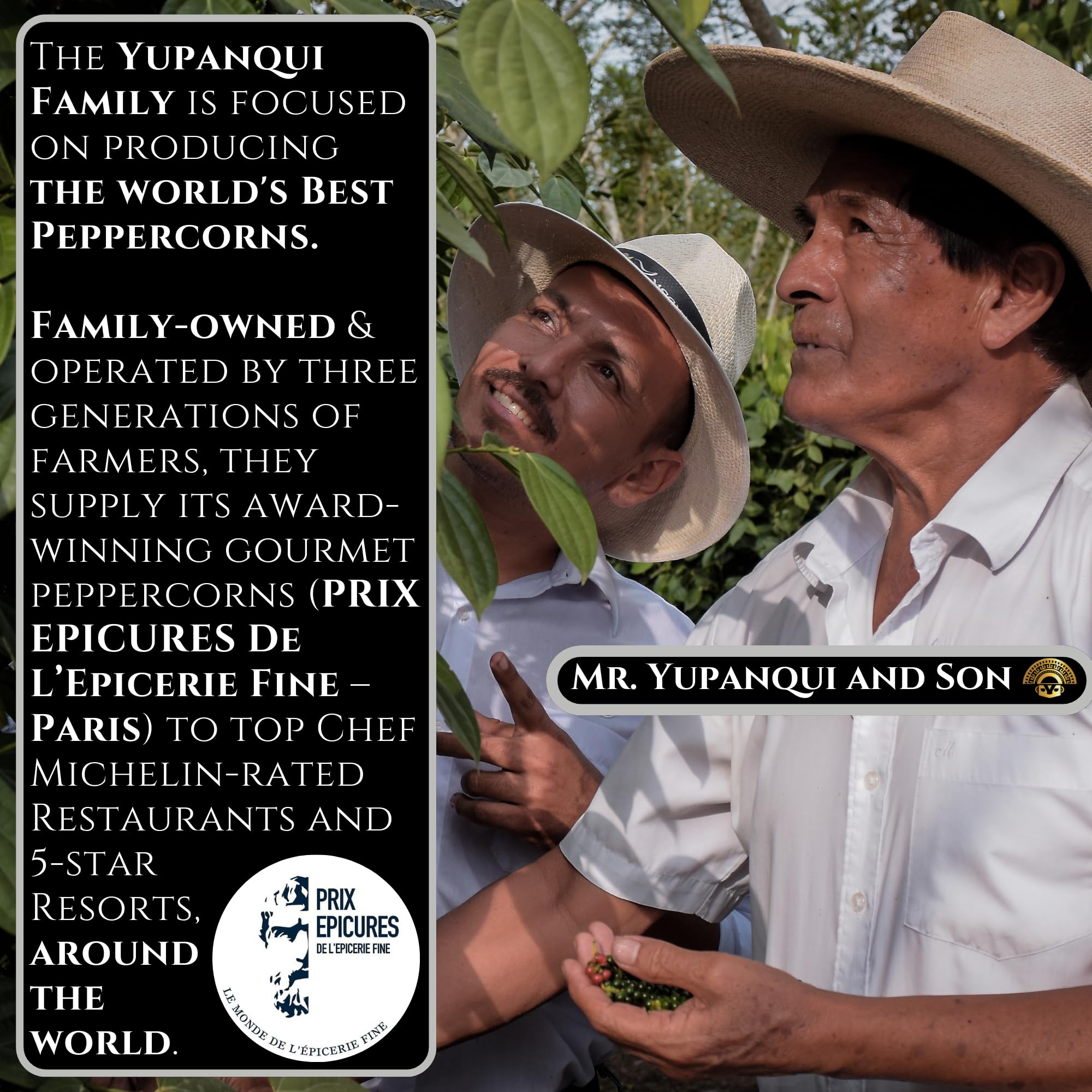 Best Black Pepper for Steak YUPANQUI Magnus Yana Extra Large Artisanal Gourmet Black Peppercorns 11oz Award-Winning Whole Peppercorns for Whole or