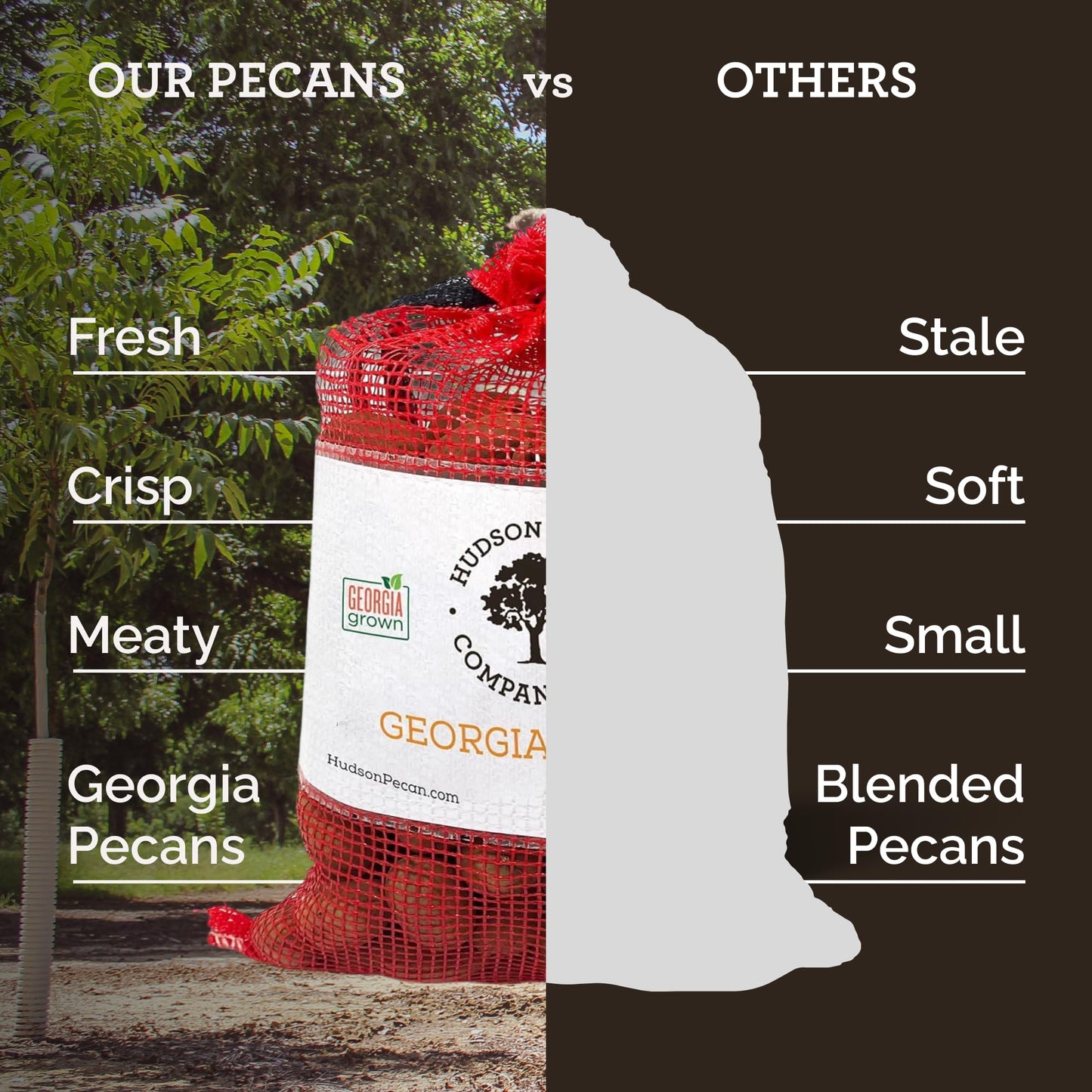 HUDSON PECAN: Georgia Grown Pecans, Classic In-Shell. Family-Owned, Premium Southern Unshelled Nuts. Slightly Sweet Flavor (Gluten-Free, Kosher, Keto