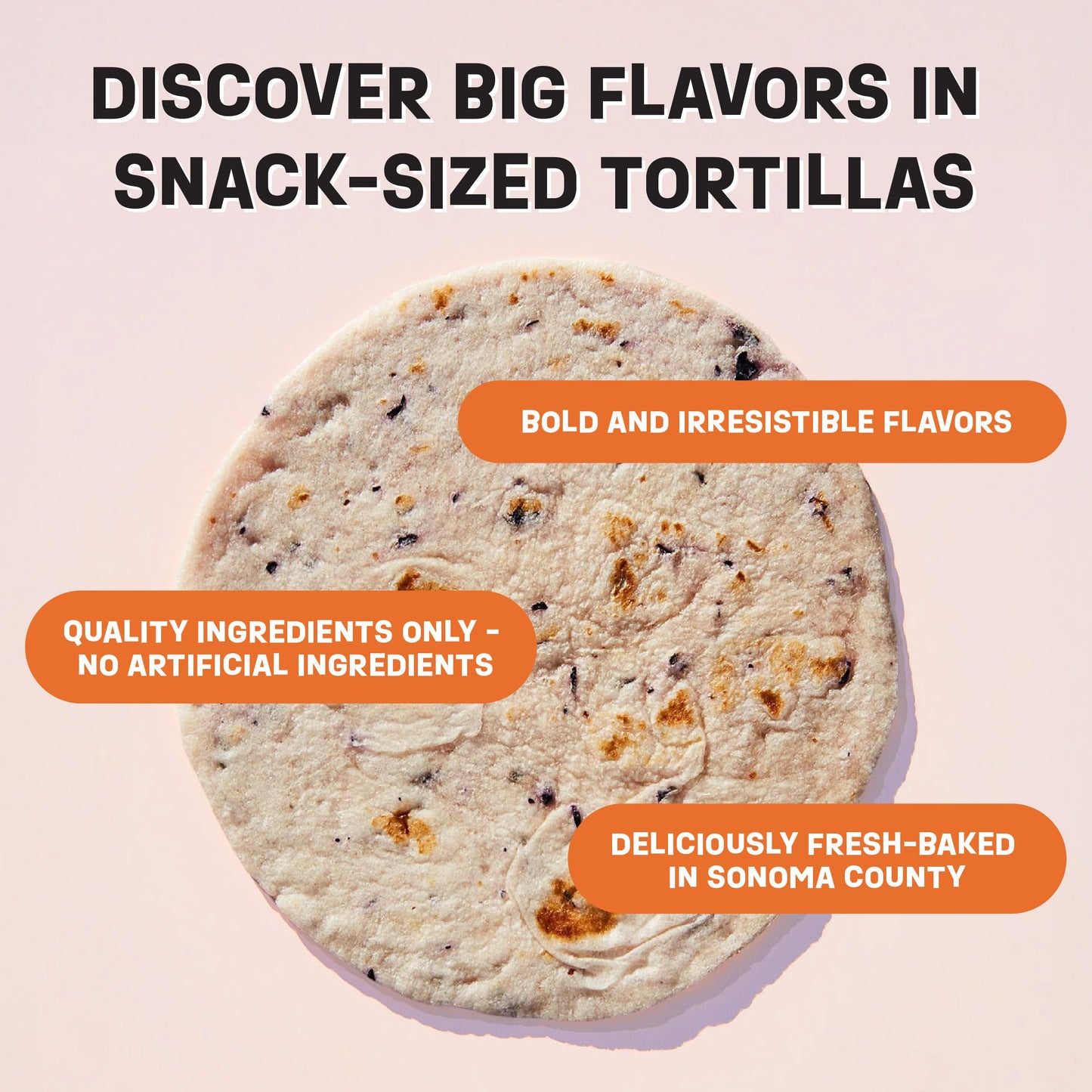 Eureka Tortilla Blueberry & Maple Flour Tortillas | Artisanal Craft Tortillas | 6” Mini Wrap Whole Grains | Vegan, Non-GMO, Low Calorie | (4 Packs, 8