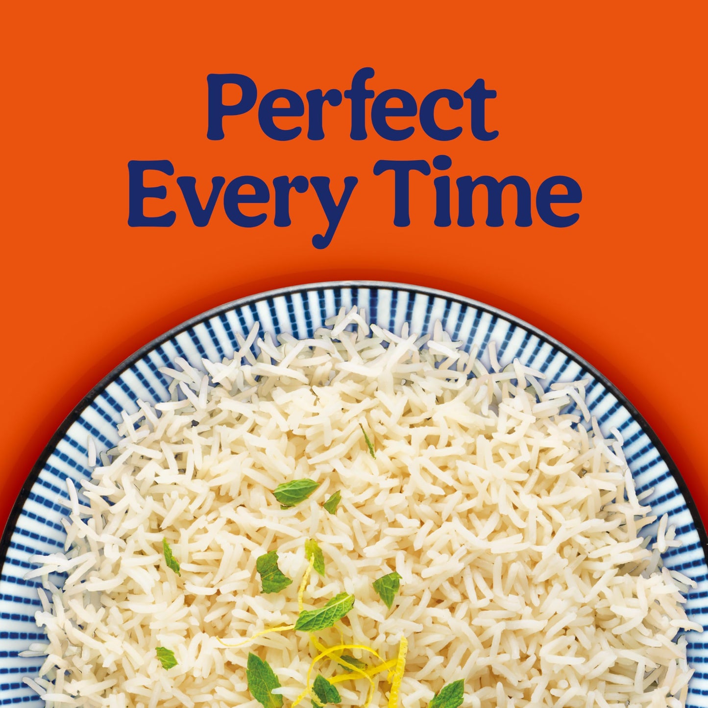 BEN'S ORIGINAL Ready Rice Basmati Rice, Easy Side Dish, 8.5 oz Pouch