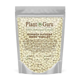 Moringa Seeds Kernel Shelled 4 oz. - Clean PKM1 Variety - Edible - Moringa Oleifera - Malunggay - Semillas De Moringa - Drumstick Tree - Non-GMO - 500
