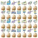 40Pcs Oh The Places You Go Decorations Oh The Places You Go Cupcake Topper Kindergarten Graduation Cupcake Decorations Graduation Decorations for Baby