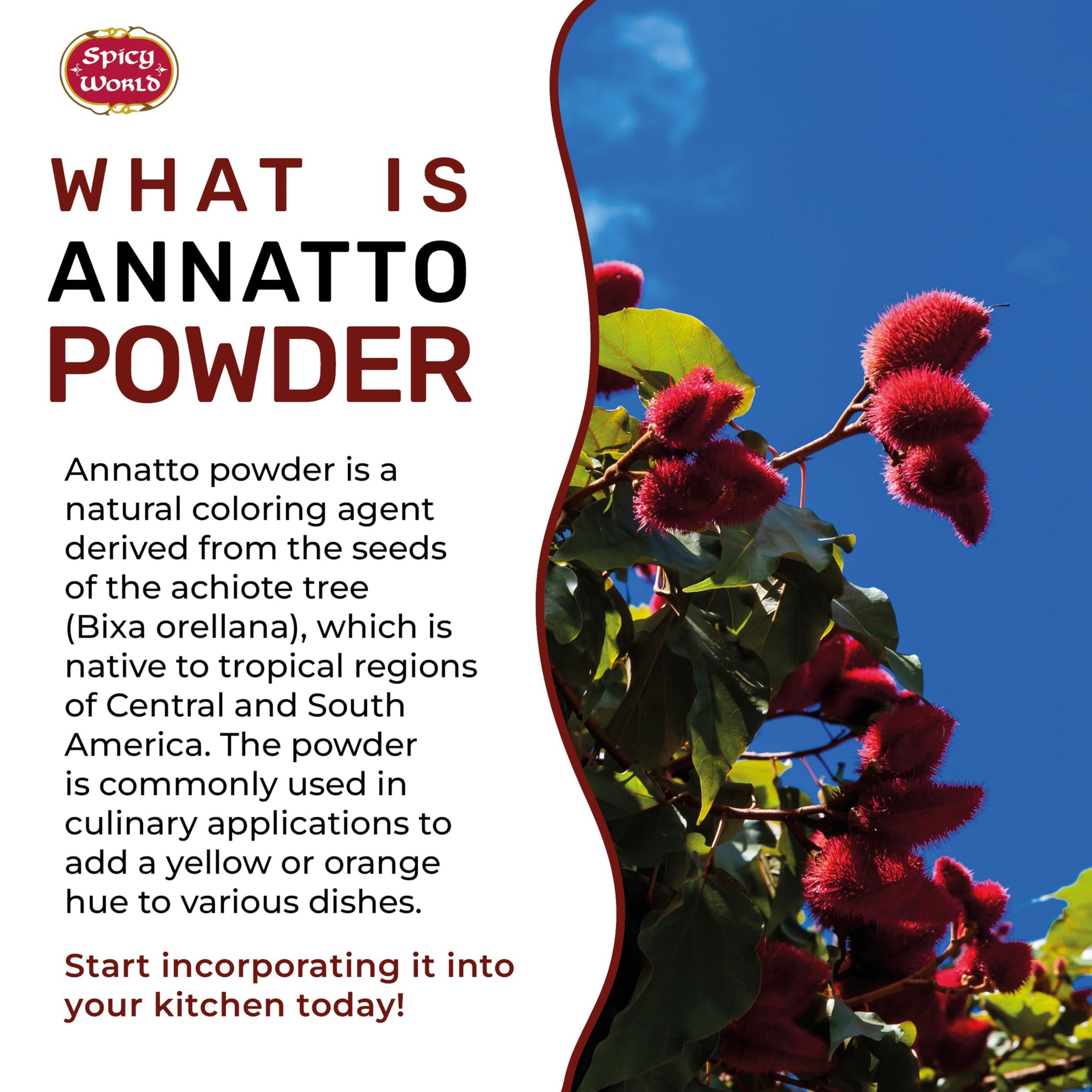 Spicy World Annatto Powder 4 Ounce Bag (113g) - Premium Ground Annatto Seed and Achiote Powder for Vibrant Dishes - Latin American Flavors