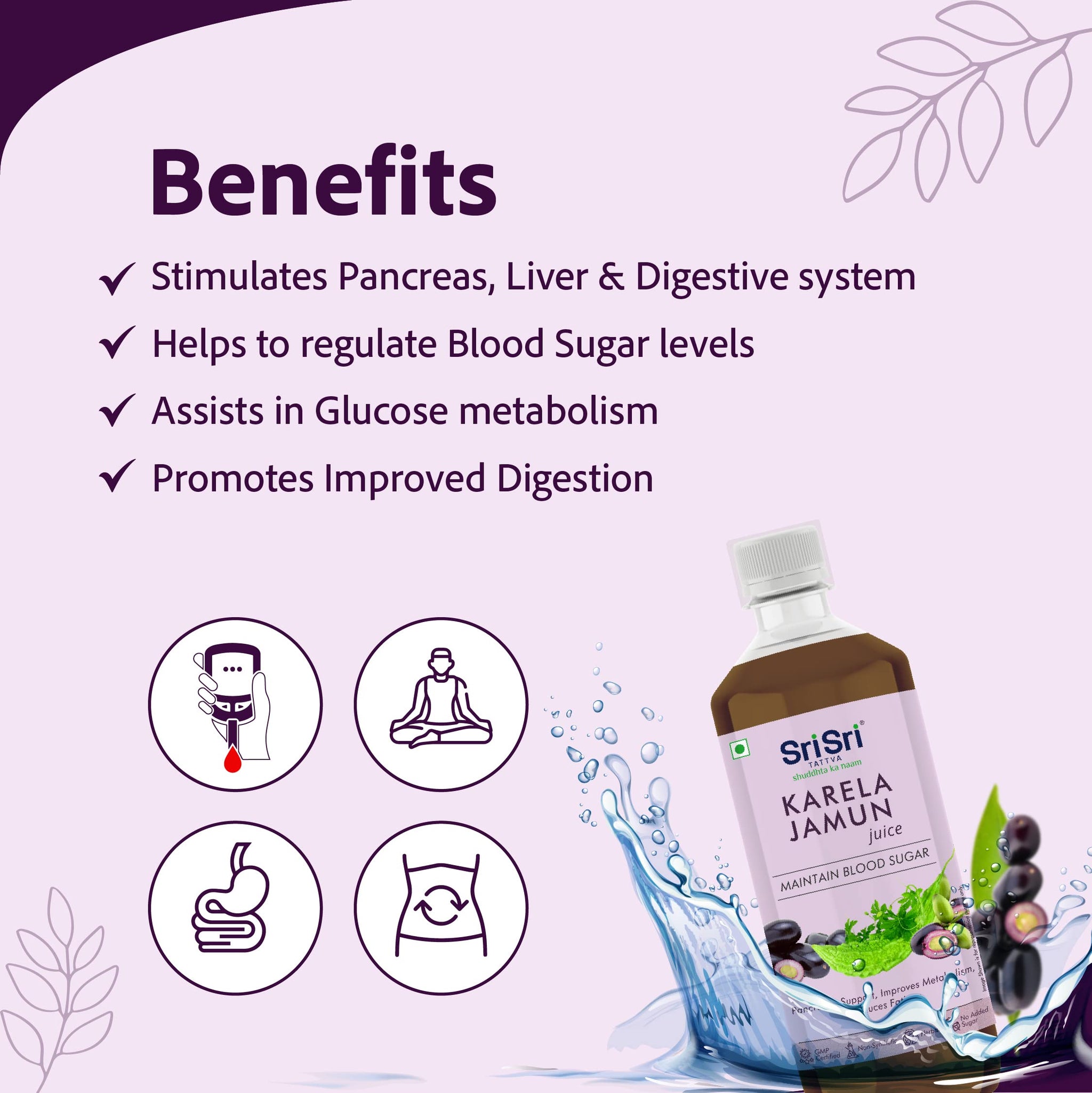 Sri Sri Tattva Karela Jamun Juice -1000 ml Liquid