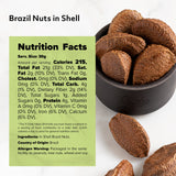 NUTS U.S. - Brazil Nuts In Shell | No Added Colors and No Artificial Flavors | Non-GMO and Natural | Fresh Buttery Taste and Raw | Pasteurized
