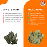 Angel Brand Dried Guanabana Leaves for Herbal Tea - Ideal for Brewing Refreshing and Beneficial Drinks - 2oz