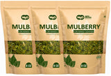 Mulberry Leaf Tea 8 Oz, Dried Crushed Leaves, Best Caffeine Free Tea - Way4Organic (8 Oz (3 Pack))