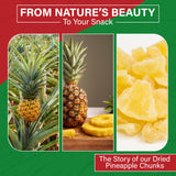 We Got Nuts Dried Pineapple Chunks | Freshly Packed Pineapple In A Perfectly Sealed Bag | Healthy Snack Full Of Vitamins, Minerals, Antioxidants