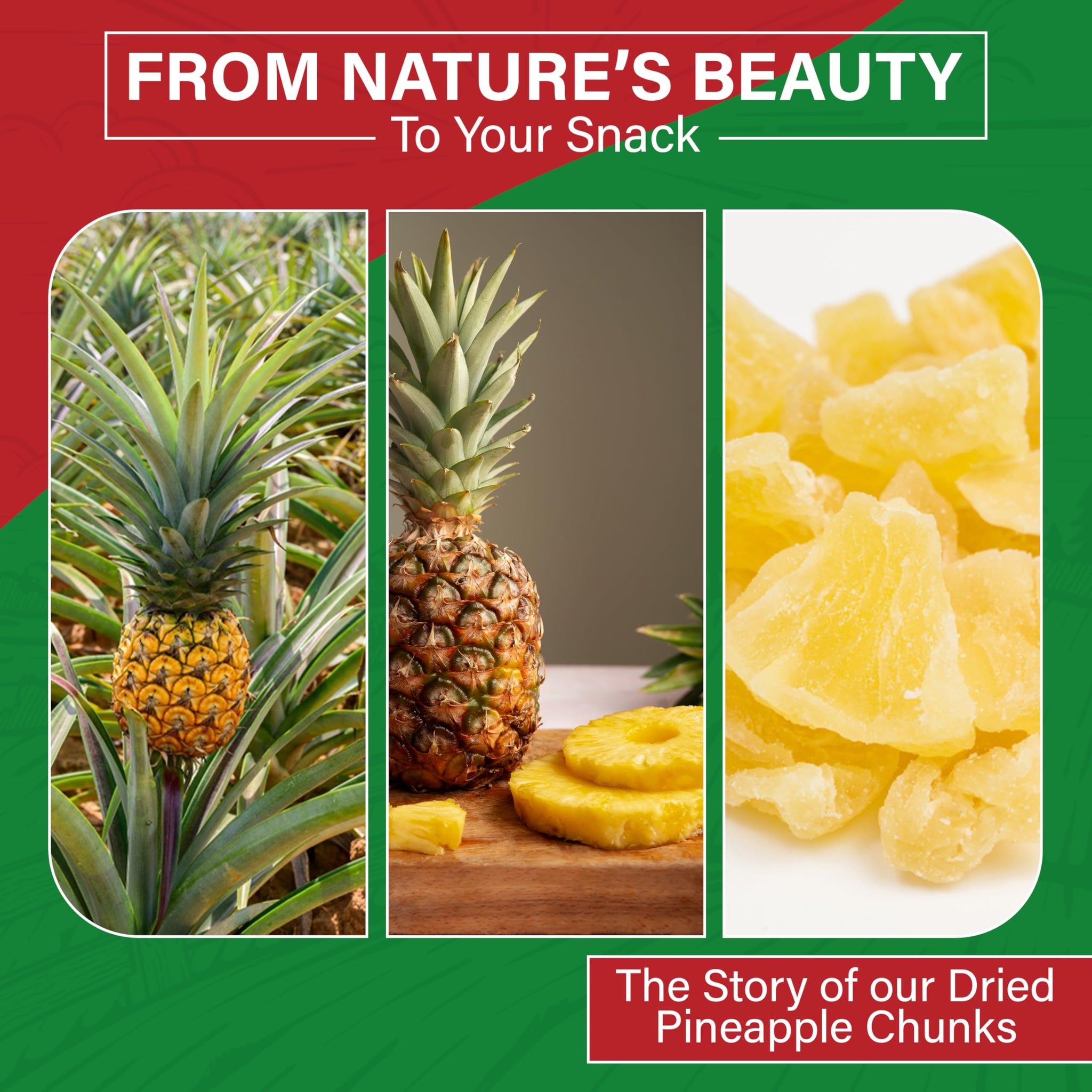 We Got Nuts Dried Pineapple Chunks | Freshly Packed Pineapple In A Perfectly Sealed Bag | Healthy Snack Full Of Vitamins, Minerals, Antioxidants