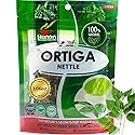 Hanan Nettle Tea Loose Leaf Herb 30g All-Natural Dried Stinging Nettle Tea, Te de Ortiga From Peru - Herbal & Supplement 1.06 oz