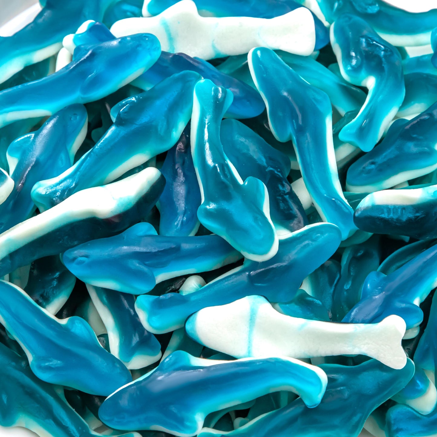 Gummy Sharks - 11 Ounce Pack - Blue Shark Gummies - Blue Candy for Goodie Bags, Gifting, Snacking & Dessert Decorating - Chewy Candy