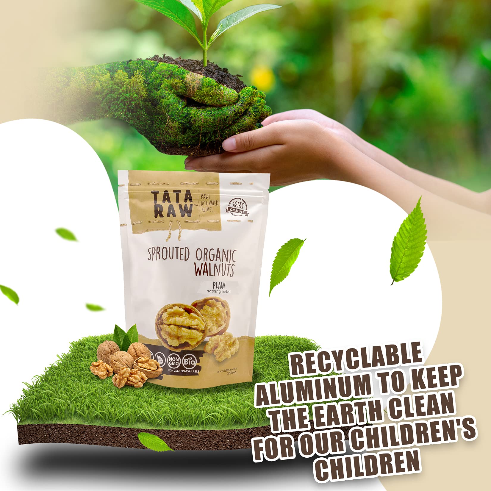 TATA RAW - Organic Sprouted Maple Walnuts ASSORTED FLAVORS (Pack of 12)