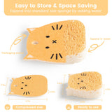 LEAFRE Cellulose Compressed Eco-Sponge 5 Pack- Avocado Sandwich Set |Standard Size| Plastic-Free & Made of All-Natural Wood Pulp | Showering