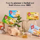 Teekanne Ginger Lemon Tea Caffeine Free Naturally Flavored Zesty Lemon & Spicy Ginger Herbal Tea with 20 Individually Wrapped Tea Bags Per Box