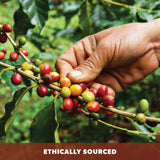 Low Acid Organic Coffee - Whole Bean, Mold-Free & Stomach Friendly by Java Planet, Coconut and Hazelnut, Medium Dark Roast, Arabica Gourmet Coffee