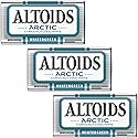 Wintergreen Mints, 1.2 Ounce Each (3 Pack, 3.6 Ounce Total)