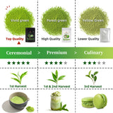 TEANAGOO Matcha Powder Ceremonial Grade, Premium Green Tea for Latte/Breakfast Beverage/Daily Green Tea, USDA Organic Ceremony Matcha Tea, Unsweetened