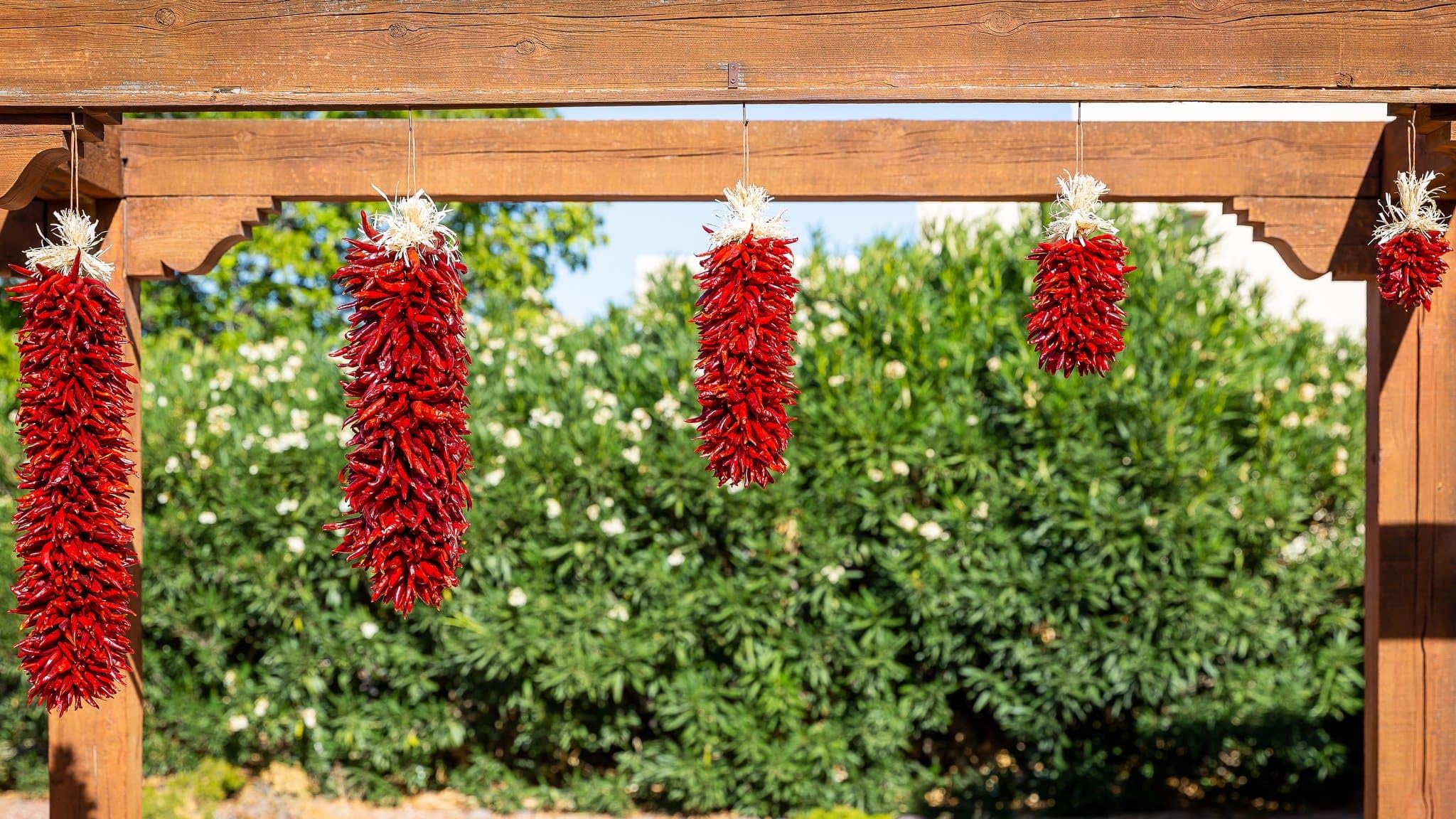 Chile Pequin Ristra (3 in)