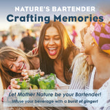 Bluestem Botanicals Organic Ginger Simple Syrup, Mothers Day Gift Ideas, 8 oz, Cocktail and Mocktail Mixer for Drinks, Non-Alcoholic