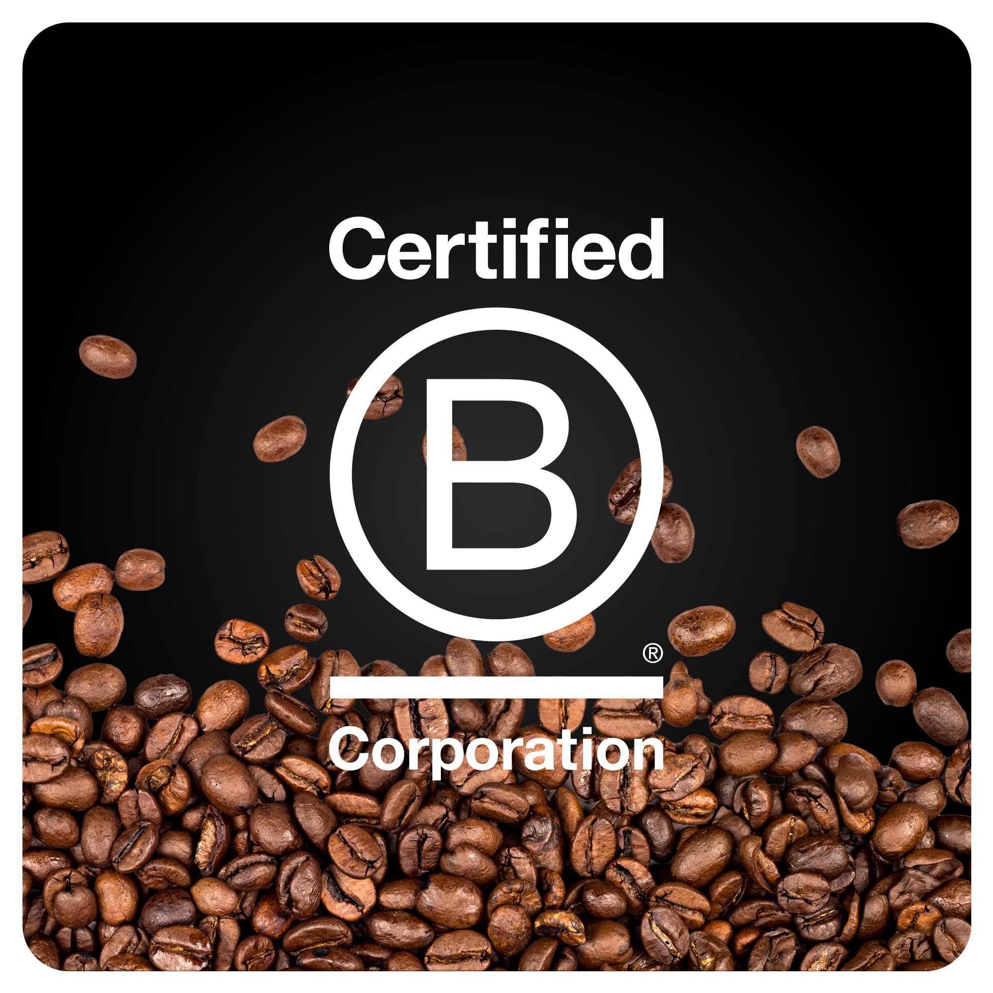 BLK & Bold Whole Bean Coffee, Limu Ethiopia Light Roast, Single Origin Coffee Beans, Chocolate Blueberry Honey Notes, Fresh Roasted Coffee for Drip