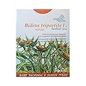 Bidens Tripartita (??????) Herbal tea, 50 grams - 1.7 oz, loose herb, (BEGGARTICKS | TRIFID BUR-MARIGOLD) by Organic herbs (1)