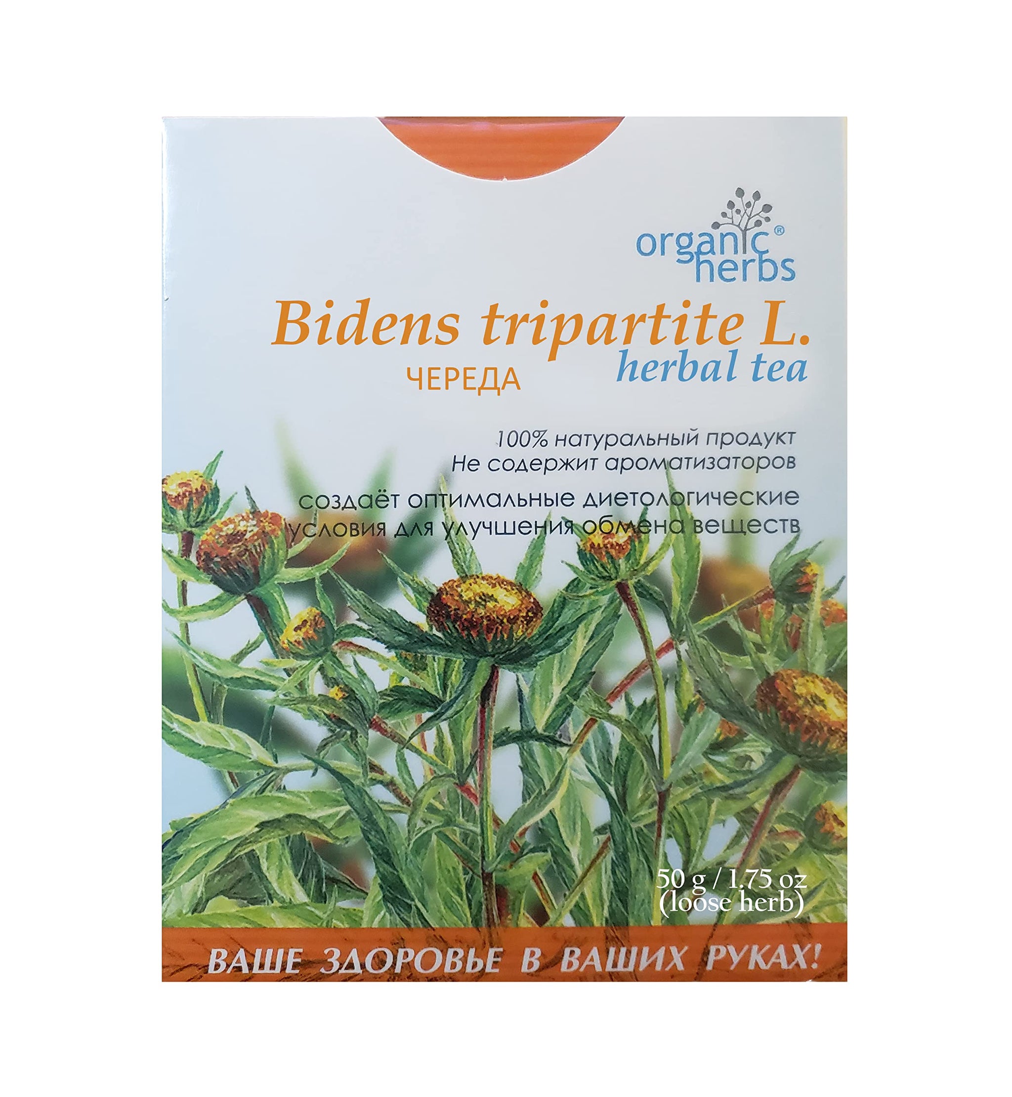 Bidens Tripartita (??????) Herbal tea, 50 grams - 1.7 oz, loose herb, (BEGGARTICKS | TRIFID BUR-MARIGOLD) by Organic herbs (1)