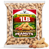 Peanuts In Shell | 1 LB Bulk Value Pack | Unsalted & Roasted - Healthy natural snack, Perfect for office, share and TO-GO | Value Pack, Whole Peanuts