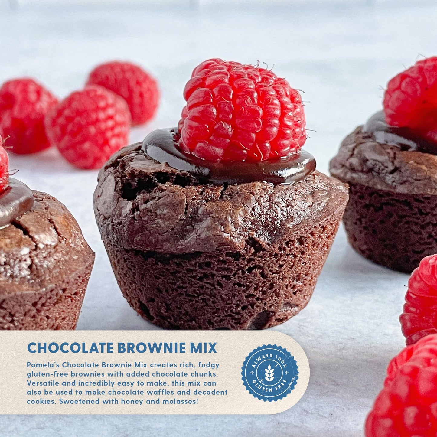 Pamela's Gluten Free Chocolate Brownie Mix, 16 oz (454 g)