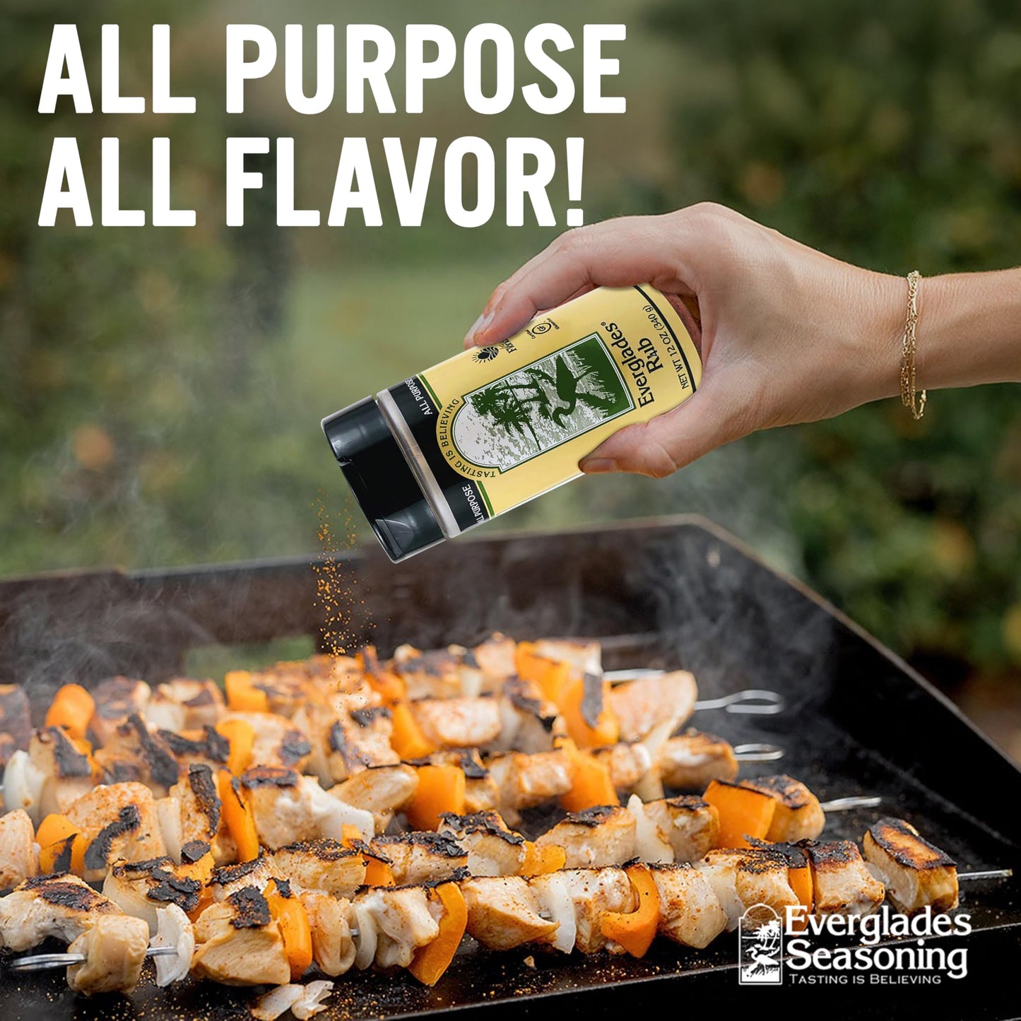 Everglades Seasoning & BBQ Rub Combo - All Purpose Grill Seasoning - 14 oz (Pack of 2)