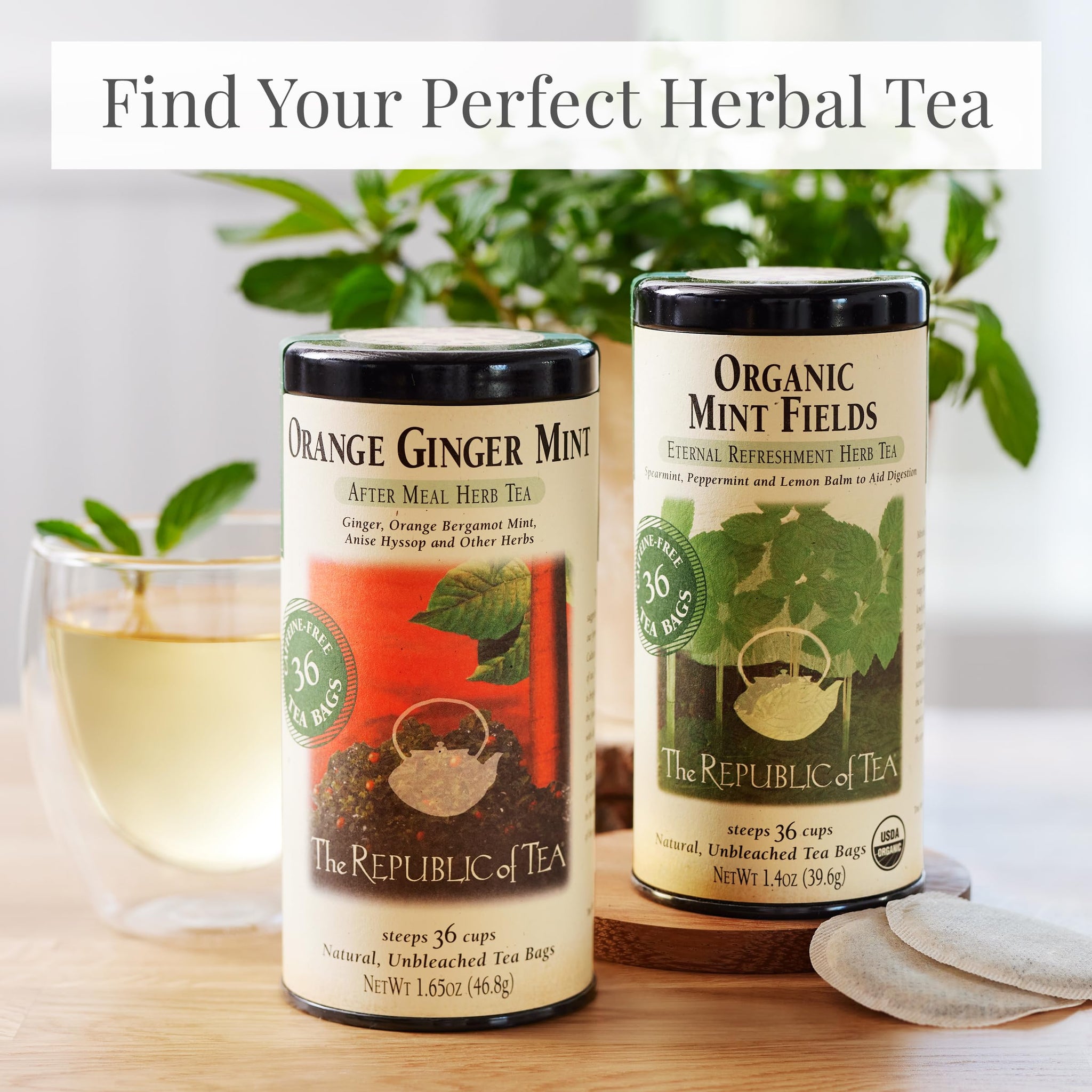 The Republic of Tea - Organic Mint Fields Herbal Tea Bags, Caffeine Free, 36 Servings