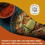 FGO Organic Turmeric Powder w/Curcumin, 2 Pound / 32oz Bulk Resealable Pouch, USDA Organic and Non-GMO, Sourced from India, Packaging May Vary (Pack