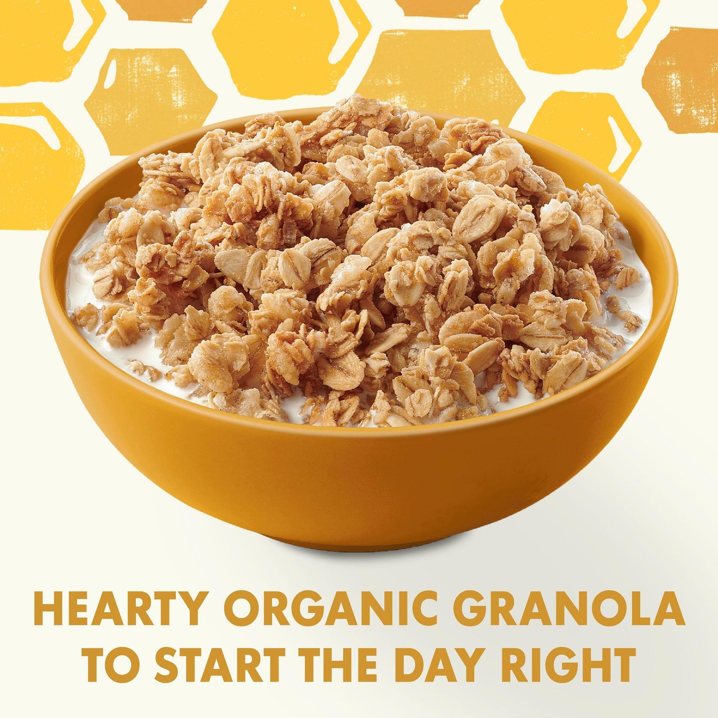 Cascadian Farm, Granola Oats N Honey, 11 Ounce
