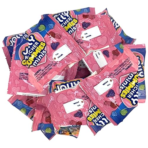 Gummies -1.5 lbs Mini Assorted Fruity Flavors-Snack Size Minis Individually Wrapped-for Irresistible Snacking Delight(24 oz)