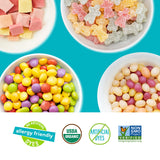 YumEarth Organic Variety Box - Jelly Beans, Giggles, Chewys, Sour Littles - Allergy Friendly (Top 9 Free), No Artificial Dyes, Non GMO, Gluten Free