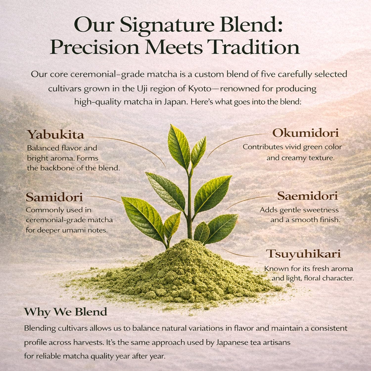 Kyoto Dew Matcha - Ceremonial Blend - Authentic Japanese First Harvest - USDA & JAS Organic Ceremonial Grade Matcha Green Tea Powder from Uji, Kyoto